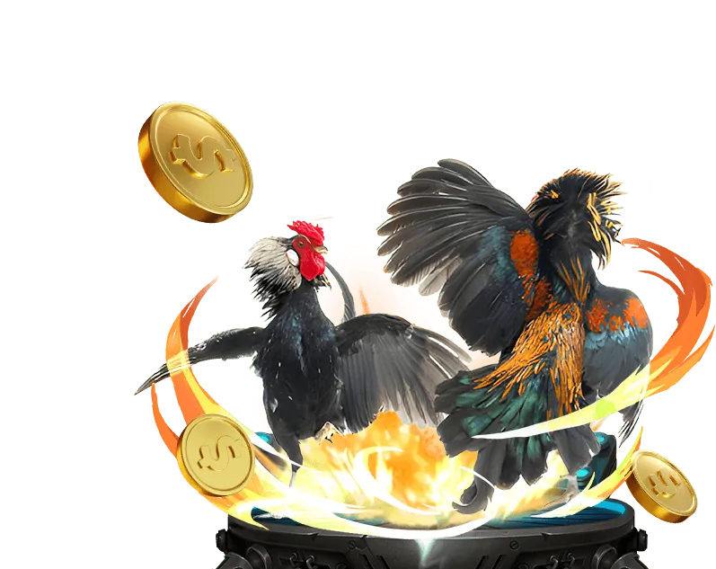 Đá gà trực tiếp trên ứng dụng k89